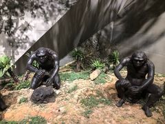 -北京周口店北京人遗址博物馆