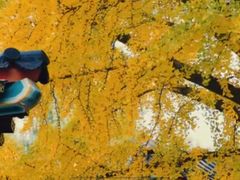 -回龙观体育文化公园