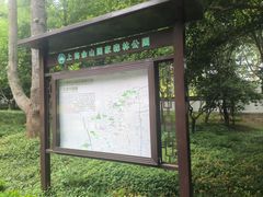 -上海佘山国家森林公园天马山园