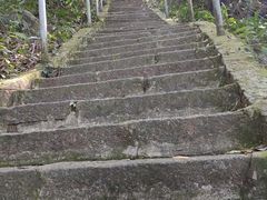 -七仙岭温泉国家森林公园