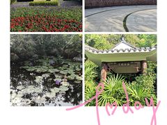 -深圳国际园林花卉博览园