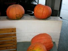 -红栌温泉山庄生态美食餐厅