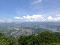 -梧桐山风景名胜区