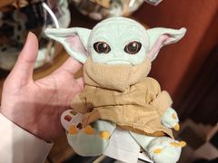 -巴黎迪士尼乐园