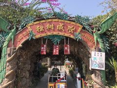 -瑞丽独树成林风景区