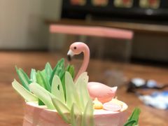 -爱丽优甜ellyelly