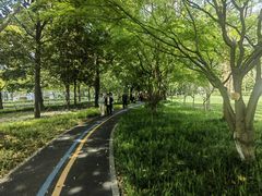 -陆家嘴中心绿地