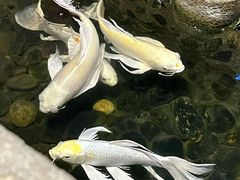 -味友·厦门味(集美店)