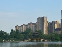 -洋湖国家湿地公园