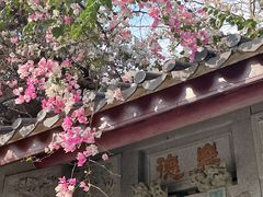 -深圳国际园林花卉博览园