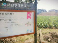 -田园东方蜜桃村的田野营地