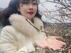 -广州市流溪河国家森林公园