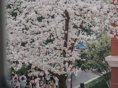 -浙江省杭州高级中学(贡院校区)