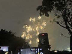 -广州白天鹅宾馆