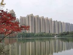 -成都南湖公园
