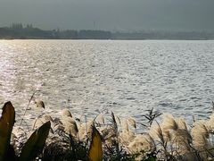 -东钱湖旅游度假区