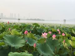 -云龙湖旅游景区