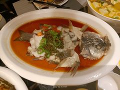 广式藤椒油淋鱼-泰河谷·豆捞