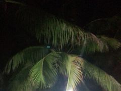 -白沙门生态公园