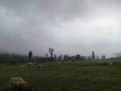 -汉长安城未央宫国家考古遗址公园