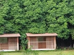 -三圣花乡旅游区