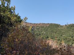 -香山公园