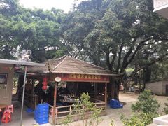 -东莞楼农家菜(金海湾大道分店)