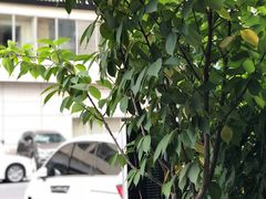 -可稵咖啡面包蛋糕(休斯顿店)