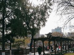 -文瀛公园