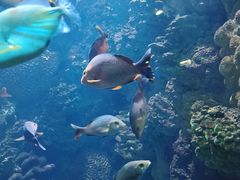 -海合安青岛极地海洋公园
