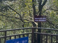 -仙霞关景区