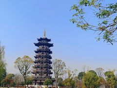 -洋湖国家湿地公园