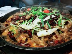 -老板恋上鱼(高新万达店)
