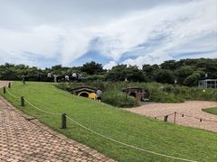 -济州森林小火车生态公园