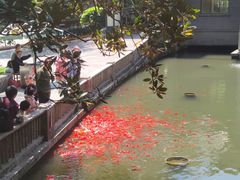 -滴水洞景区