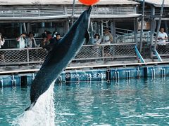 -海南分界洲岛旅游区