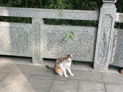 -云龙山