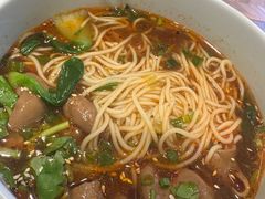 一品麻辣肥肠面-一品小笼(金融街店)