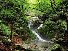 -本溪汤沟绿石谷森林公园