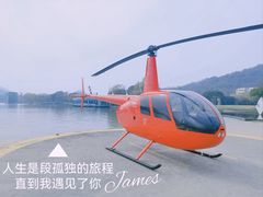-上海月湖雕塑公园