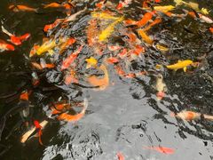 -青青世界