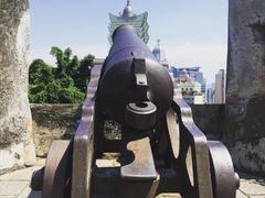 -柠檬车露(卖草地店)