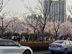 -龙美术馆(西岸馆)