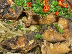 -老板恋上鱼(恒隆广场店)