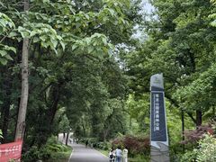 -青龙山国家森林公园