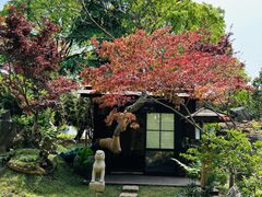 -上海鲜花港