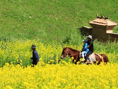 -扁都口生态休闲旅游区
