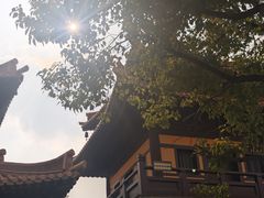 -亭林园-华藏寺