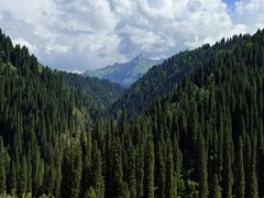 -新疆那拉提国家旅游度假区