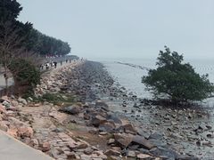 -深圳湾公园(南山区)